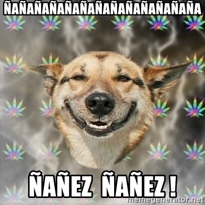 Stoner Dog - Ñañañañañañañañañañañañaña Ñañez  Ñañez !