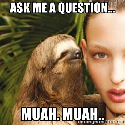 sexy sloth - ASK ME A QUESTION... MUAH. MUAH..