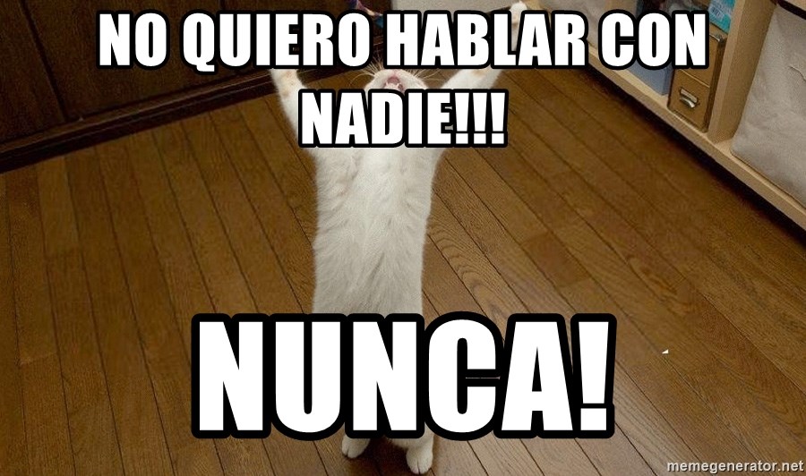 praise the lord cat - No quiero hablar con nadie!!! NUNCA!
