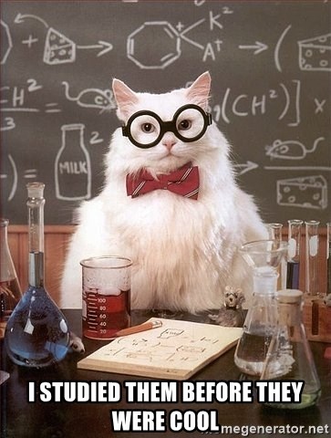 Chemistry Cat - I studied them before they were cool