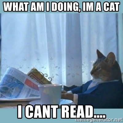 rich cat  - What am I doing, Im a cat I cant read....