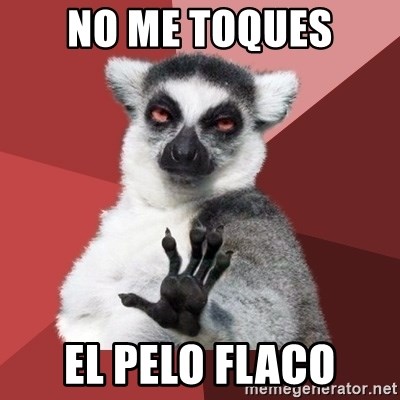 Chill Out Lemur - NO ME TOQUES EL PELO FLACO
