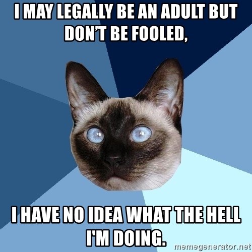 Chronic Illness Cat - I may legally be an adult but don’t be fooled, I have no idea what the hell I'm doing.