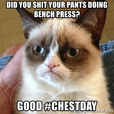 Grumpy Cat  - did you shit your pants doing bench press? good #chestday