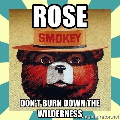 Smokey the Bear - Rose Don't burn down the wilderness