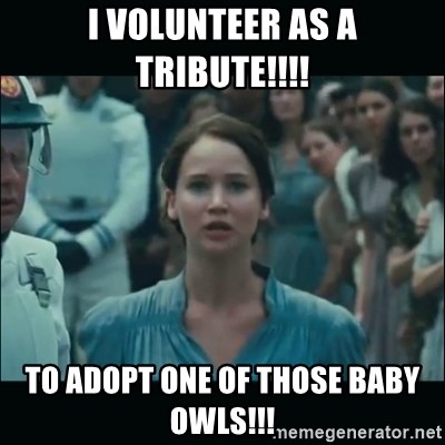 I volunteer as tribute Katniss - i volunteer as a tribute!!!! to adopt one of those baby owls!!!