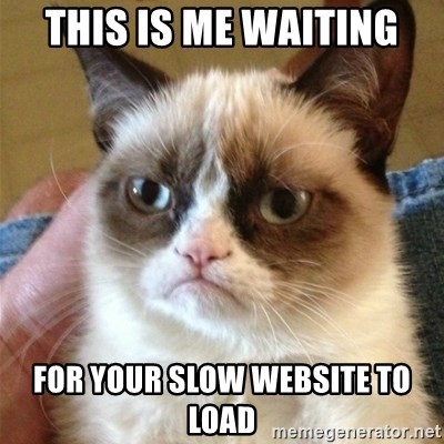 Grumpy Cat  - this is me waiting for your slow website to load