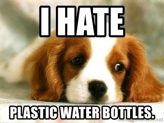 Sad Puppy - i hate  plastic water bottles.