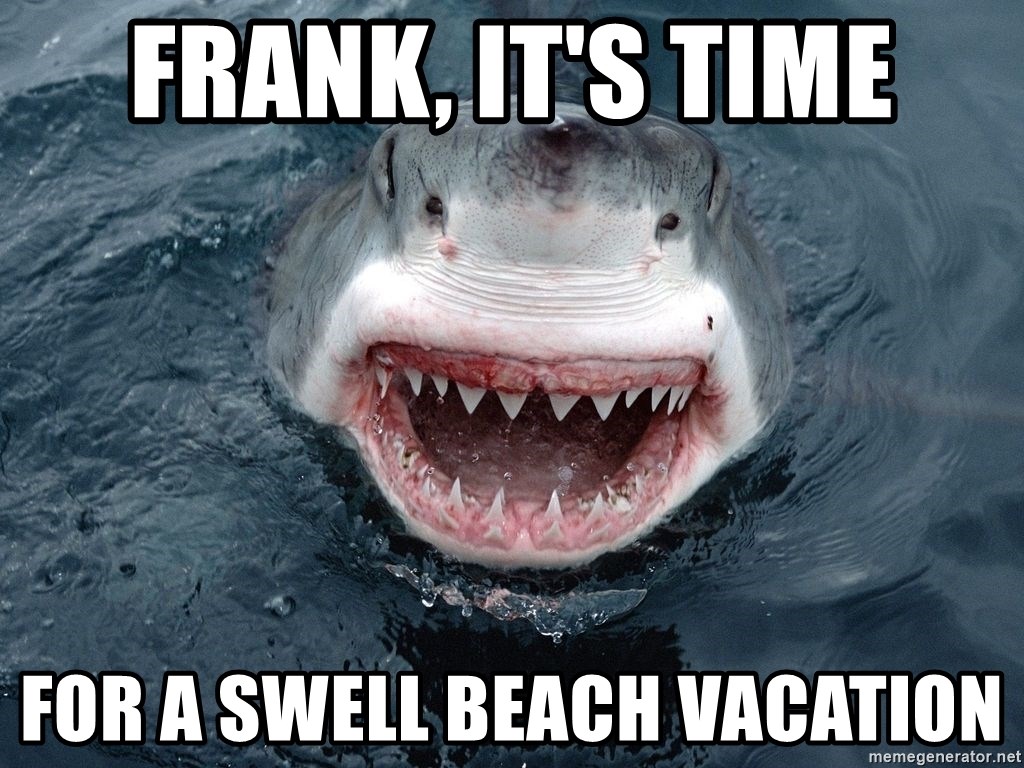 Funny Beach Memes That Will Make Your Day