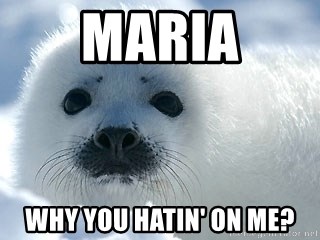 Happy Harp Seal - Maria Why you hatin' on me?