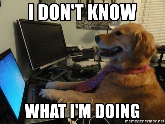 I DON'T KNOW WHAT I'M DOING - dog computer | Meme Generator
