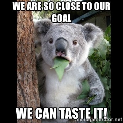 We Are So Close To OUr Goal We Can Taste It! - Koala can't ...