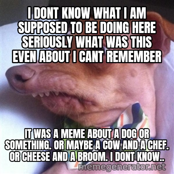 I Dont Know What I Am Supposed To Be Doing Here Seriously What Was This Even About I Cant Remember It Was A Meme About A Dog Or Something Or Maybe A