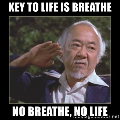key-to-life-is-breathe-no-breathe-no-lif