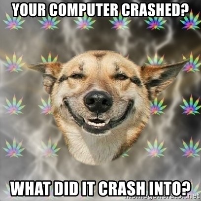 Stoner Dog - your computer crashed? what did it crash into?