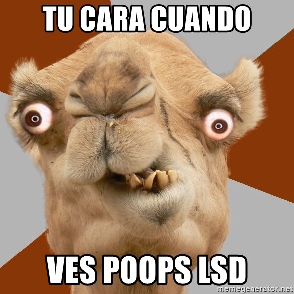 Crazy Camel lol - tu cara cuando ves poops lsd