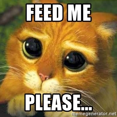 Feed me please