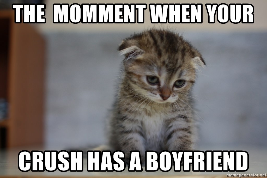 Sad Kitty25 - The momment when your crush has a boyfriend 