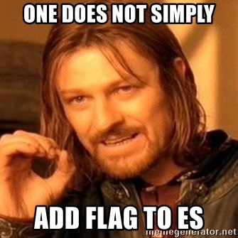 One Does Not Simply - One Does not simply add flag to ES