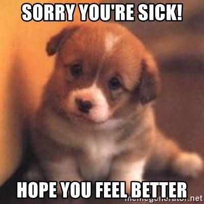 Image result for sorry memes for sickness