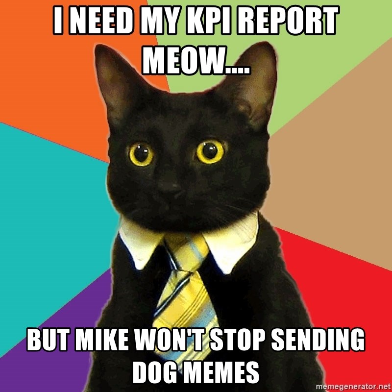 I need my kpi report meow.... but mike won't stop sending dog memes
