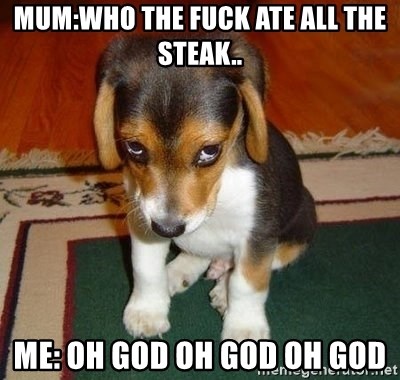 Sad Puppy - mum:who the fuck ate all the steak.. Me: oh god oh god oh god
