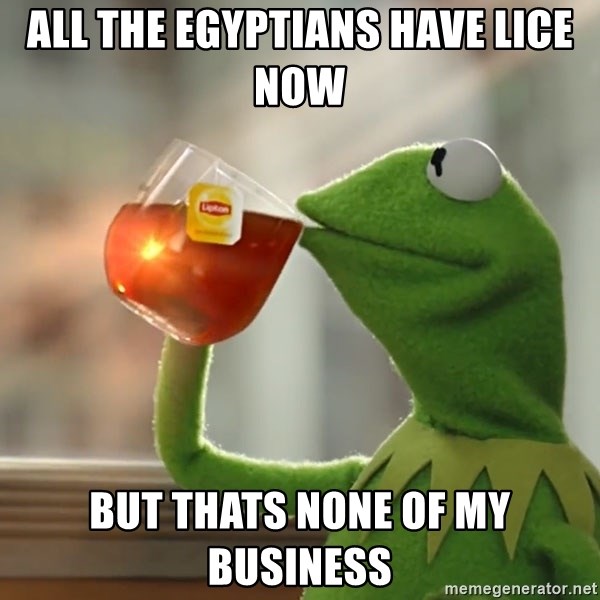 Kermit The Frog Drinking Tea - ALL THE EGYPTIANS HAVE LICE NOW BUT THATS NONE OF MY BUSINESS