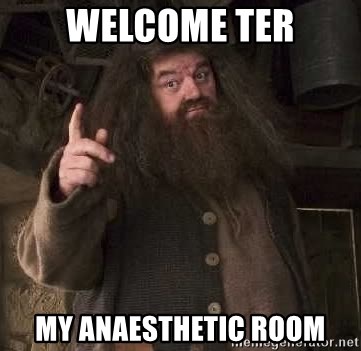 Hagrid - Welcome ter My anaesthetic room
