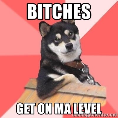 Cool Dog - bitches get on ma level
