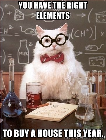 Chemistry Cat - You have the right elements to buy a house this year.
