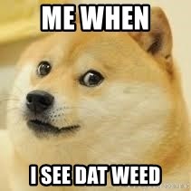 dogeee - me when  i see dat weed