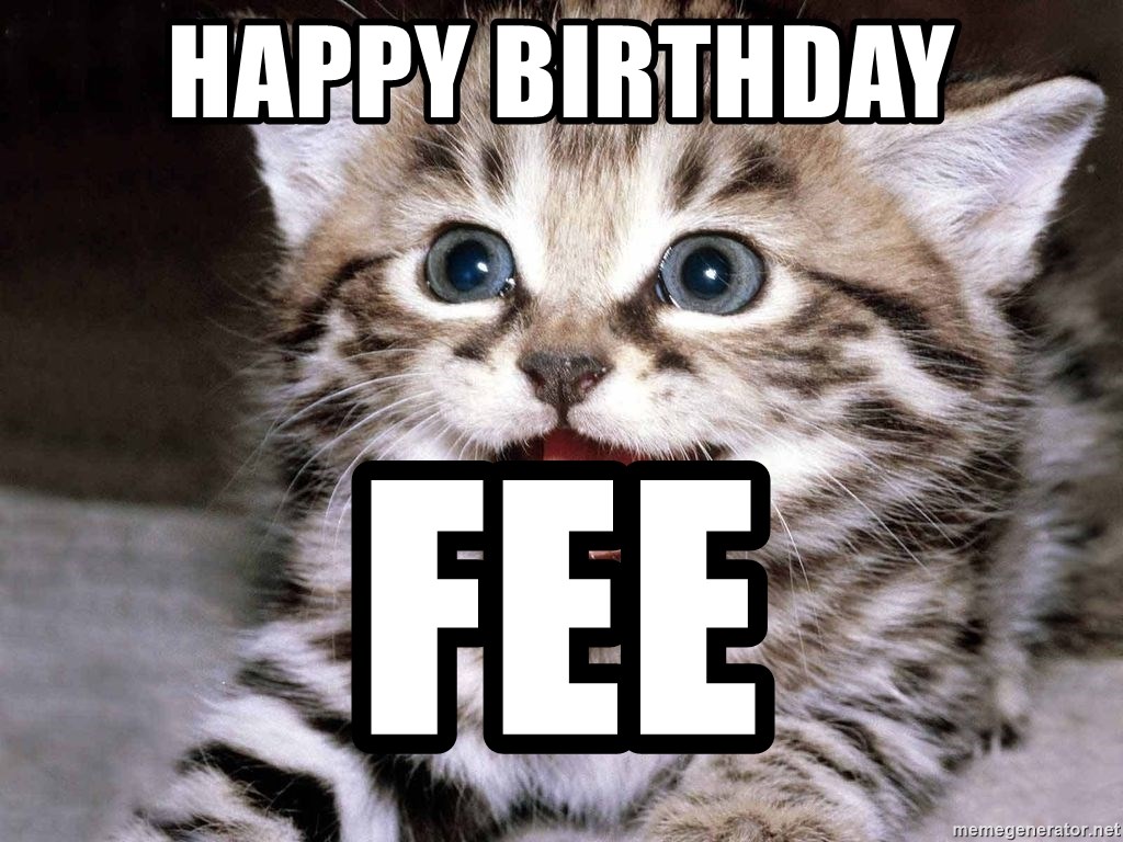 Happy Birthday Fee Happy Kitten Meme Generator