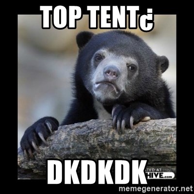 sad bear - top tent¿ dkdkdk