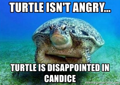 disappointed turtle - Turtle isn't angry... Turtle is disappointed in Candice