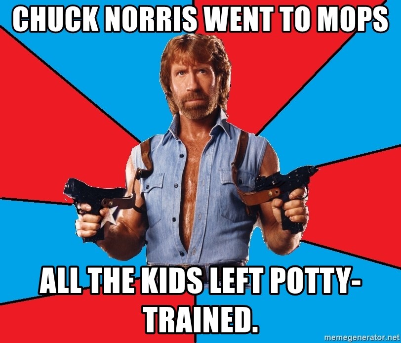 Chuck Norris  - Chuck Norris went to MOPS all the kids left potty-trained.