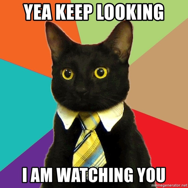 Business Cat - yea keep looking I am watching you