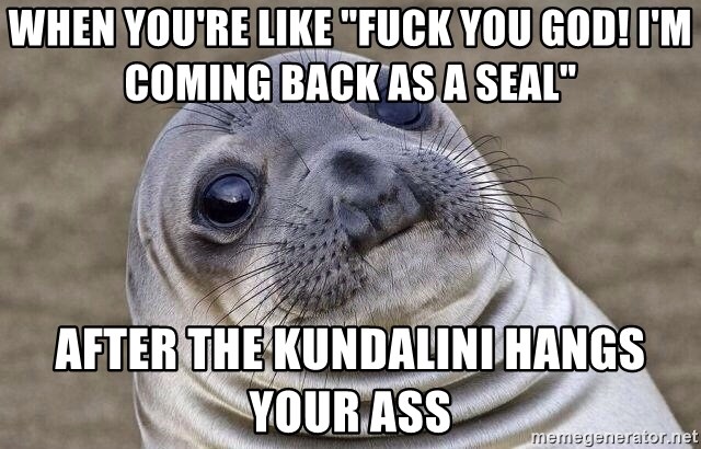 Awkward Seal - When you're like "FUCK YOU GOD! I'm coming back as a seal" After the kundalini hangs your ass