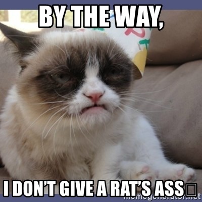 Birthday Grumpy Cat - BY THE WAY, I DON’T GIVE A RAT’S ASS💩