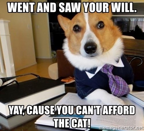 Dog Lawyer - Went and saw your will. Yay, cause you can't afford the cat!
