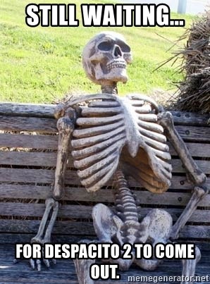 Still Waiting For Despacito 2 To Come Out Waiting Skeleton