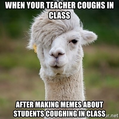 Hipster Llama - when your teacher coughs in class after making memes about students coughing in class