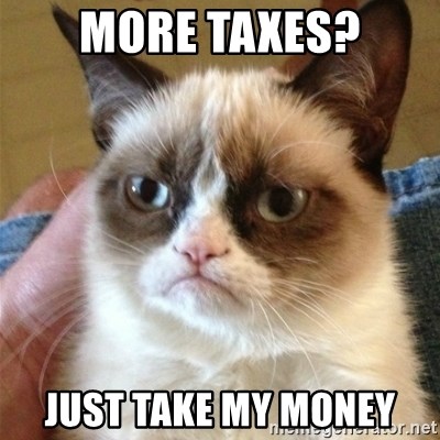 Grumpy Cat  - More taxes? Just take my money