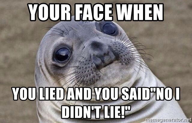 Awkward Seal - your face when you lied and you said"no I didn't lie!"