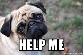 Pug - help me