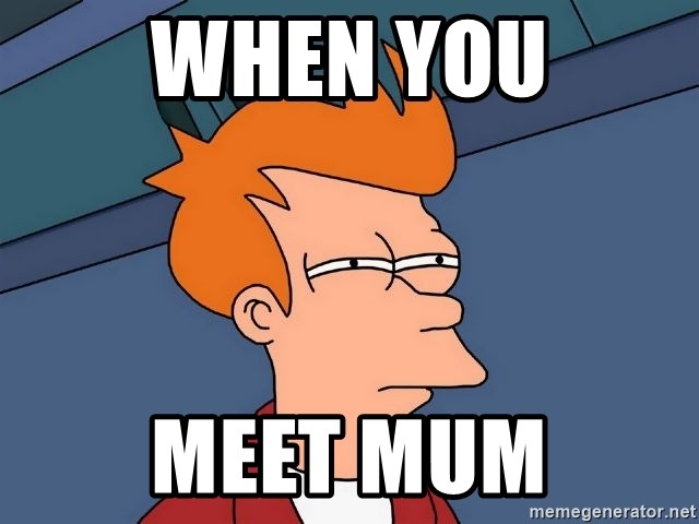 Futurama Fry - when you meet mum
