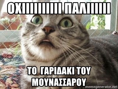 scared cat - ΟΧΙΙΙΙΙΙΙΙΙΙ ΠΑΛΙΙΙΙΙΙ ΤΟ  ΓΑΡΙΔΑΚΙ ΤΟΥ ΜΟΥΝΑΣΣΑΡΟΥ