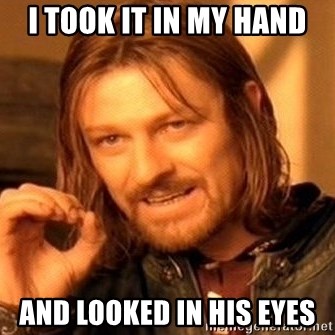 One Does Not Simply - i took it in my hand and looked in his eyes
