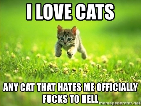 God Kills A Kitten - I love cats any cat that hates me officially FUCKS TO HELL