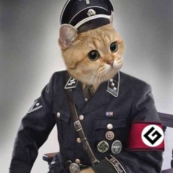 Nazi Cat meme template
