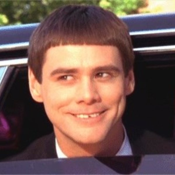 Jim Carrey Dumb and Dumber meme template